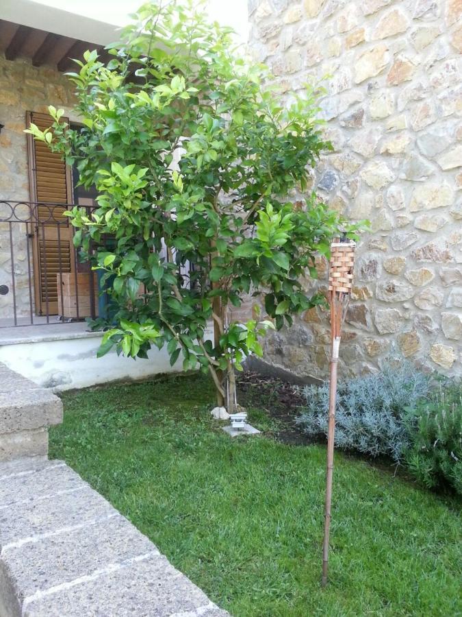 Apartmán Il Poggio Da Leo Capanne Exteriér fotografie